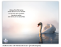 Preview: Trauerbild Natura 018 mit Rückseitenvers