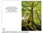Preview: Trauerbild Natura 521 mit Rückseitenvers
